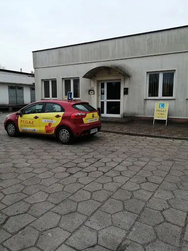 Pegaz. Nauka jazdy. Grzegorz Pucman